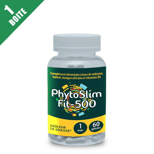 PhytoSlim Fit 500 - 1 boite