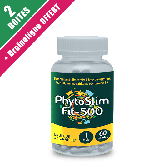 PhytoSlim Fit 500 - 2 boites